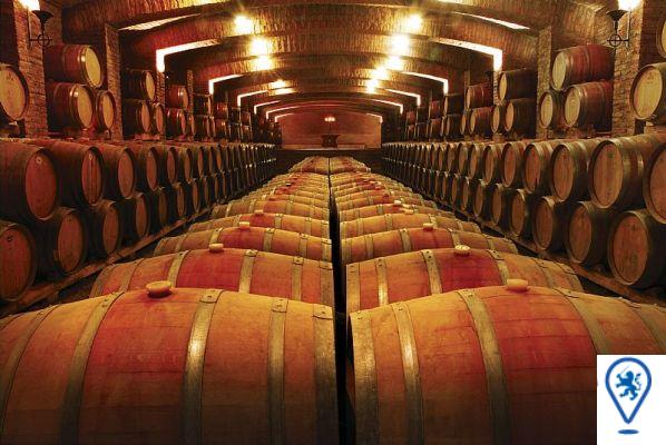 Descubre los viñedos cerca de Santiago: Rutas del vino